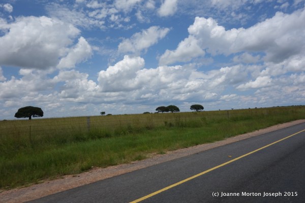 Along the drive toward Antelope Park - open grasslands, sparse trees, typical landscape in this area