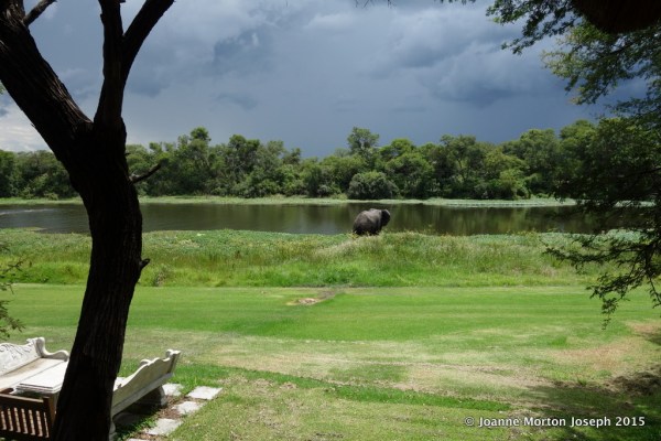 View from our eating terrace