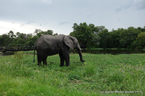 Just taking his time, slowly passing by