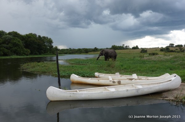 One of my favorite shots this day