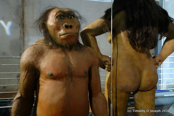 Represents our ancestors