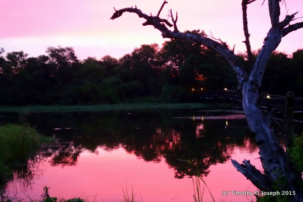 Sunset at Antelope Park