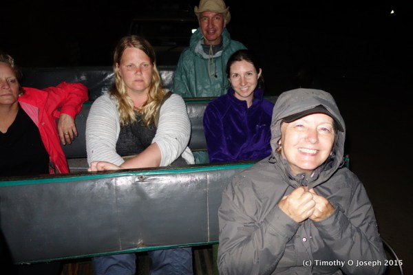 In the back of a pickup truck - following lions as they hunt