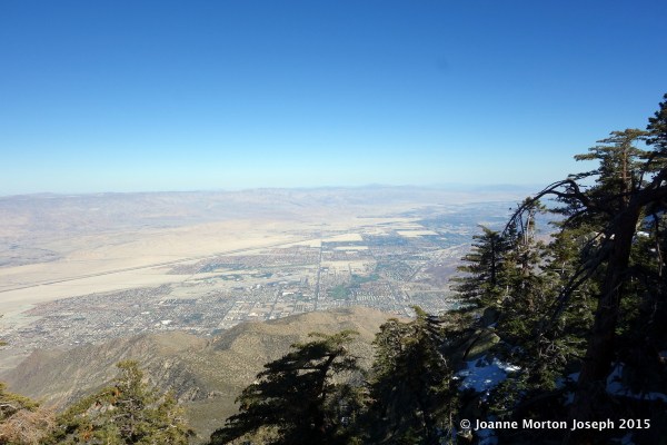 View of Palm Springs from Mountain Station
