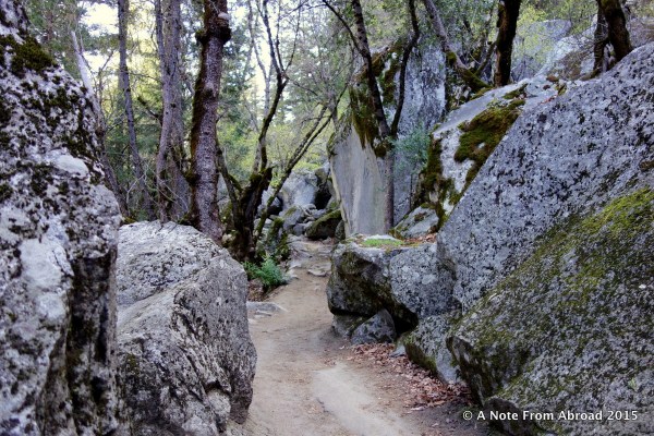 Pathway toward Mirror Lake