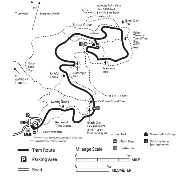 Map of Mariposa Grove and trails