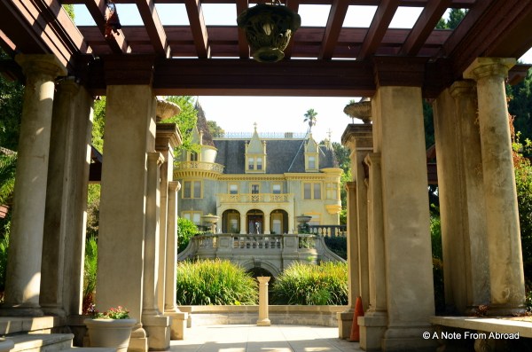 View from the garden