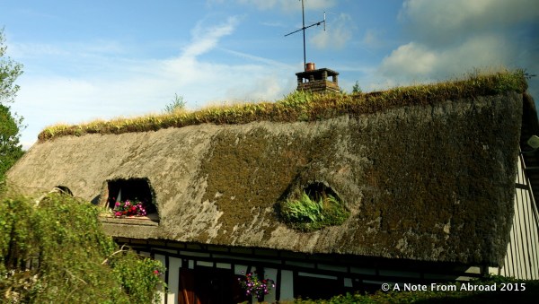 Thatched roof with iris and hen and chicks on top