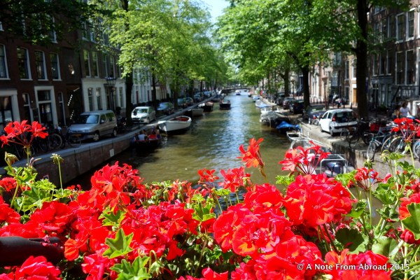 Bright flowers are common along the many bridges