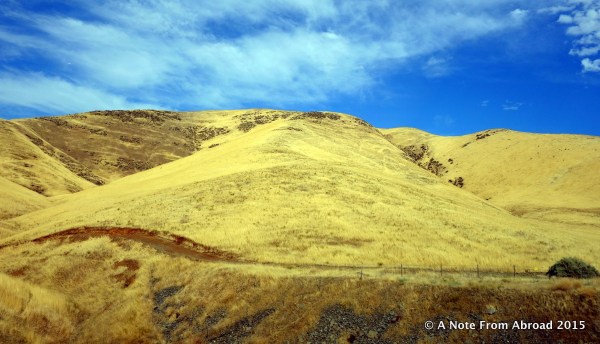 Poor California is so dry. Our drought continues...