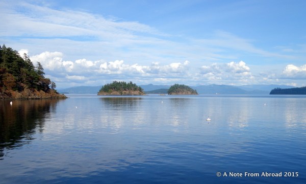This was the view Tim and I had while we relaxed on board at Eagle Harbor