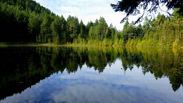Jan and Mark took the dingy ashore and went for a hike. This is the pretty lake they saw.