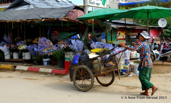 Push cart and flower stalls