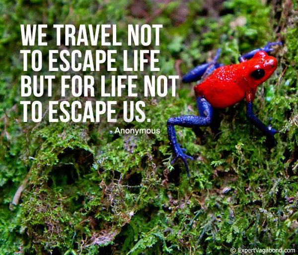 Why we travel...