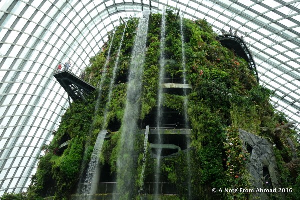 Inside the cloud Forest