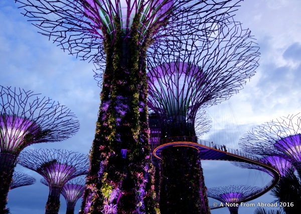 The Supertrees at Gardens of the Bay