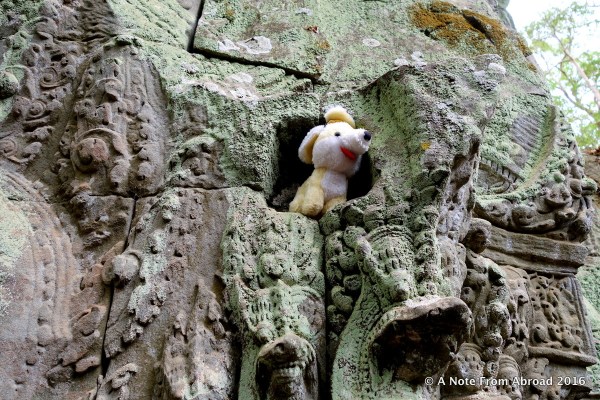 Gus at Ta Prohm