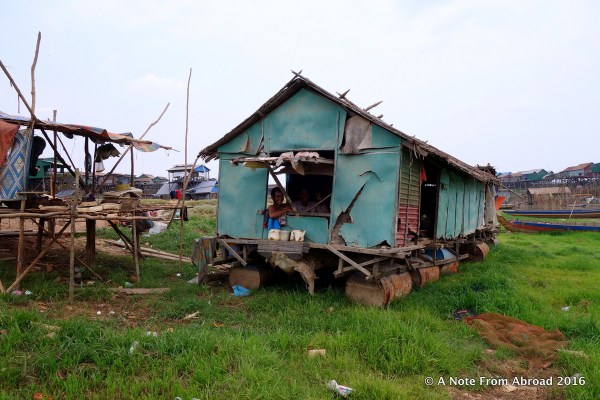 Looking out the window