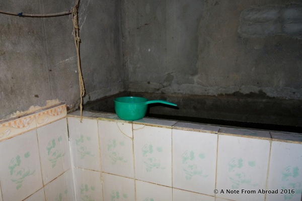 Green scoop used for bathing