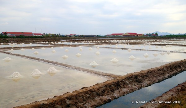 Piles of salt drying in the sun