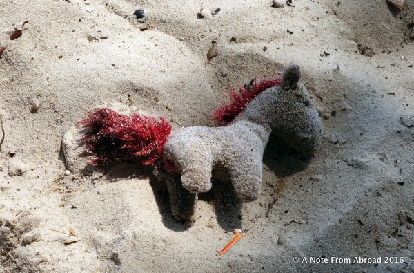 Tim found a "sea horse" at waters edge, covered in sand.