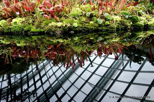 Roof reflected in the pool