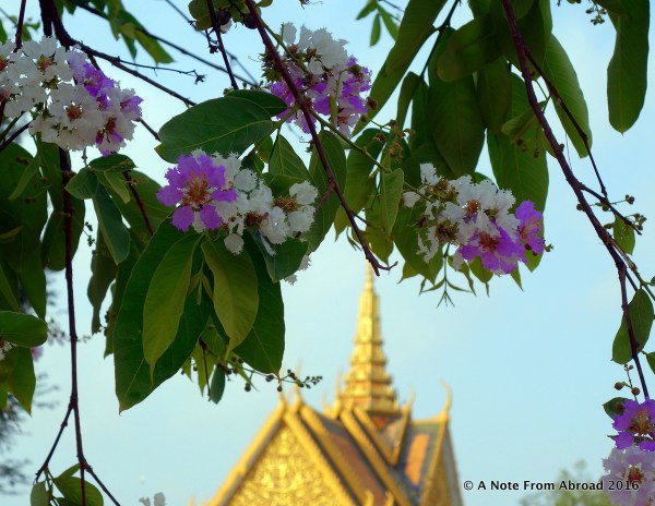 Spring flowers at Royal Palace