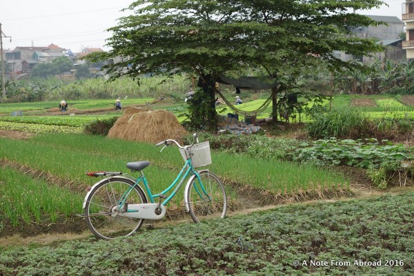 Hammock in the tree for nap time