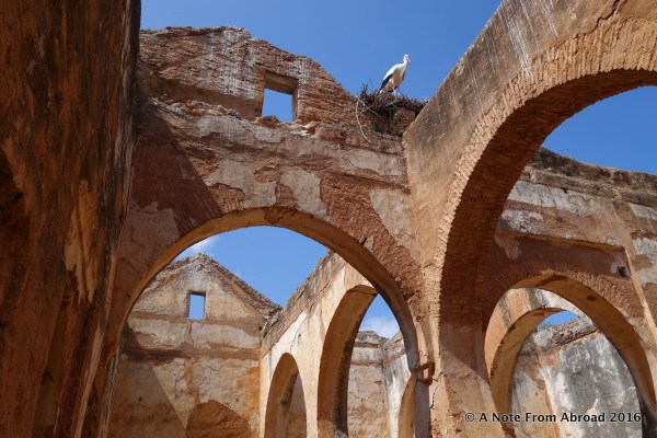 Stork and large nest