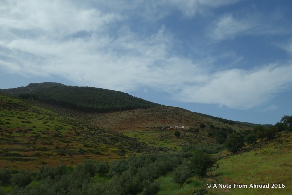 Starting our drive through the Mid Atlas Mountains