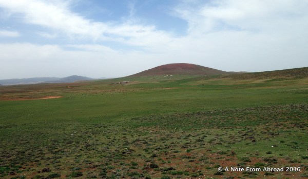 Still green, but few trees as we climb higher into the mountains
