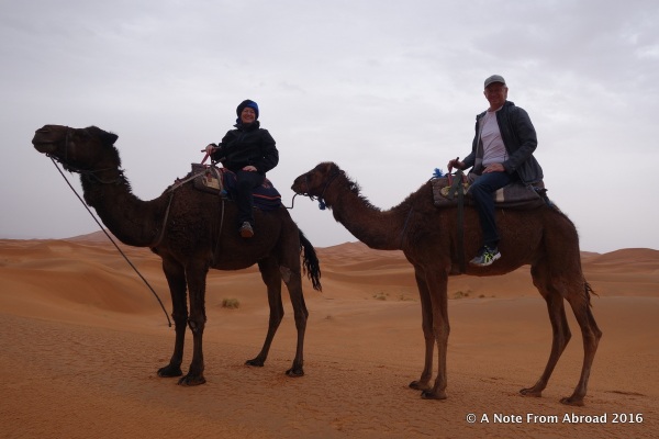 Tim and Joanne in the Sahara Desert on camels