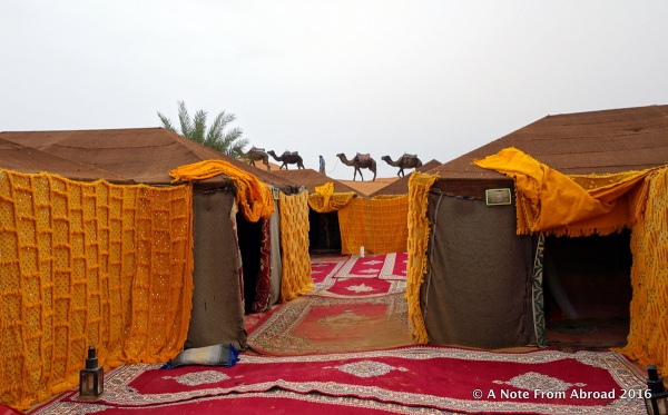 Tent camp where we spent the night in the Sahara Desert