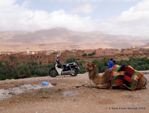 Want to ride a camel or take a scooter for a spin?