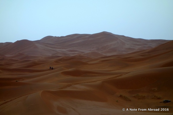 The breathtaking vista of the Sahara Desert