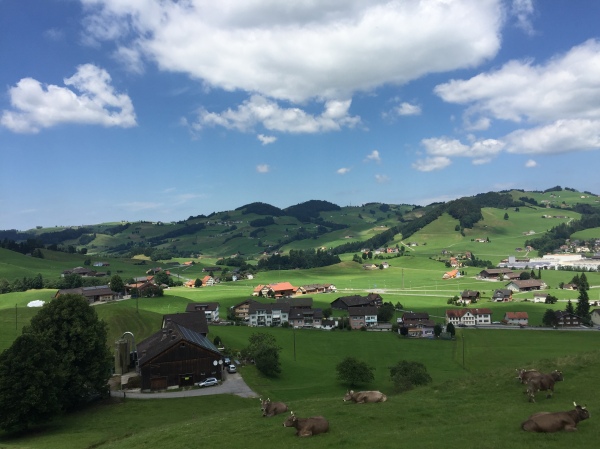 On the train ride between Appenzell and Umasch