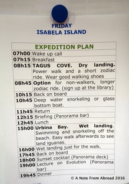 What was planned for today