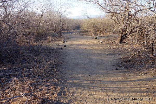 This is the terrain where we walked