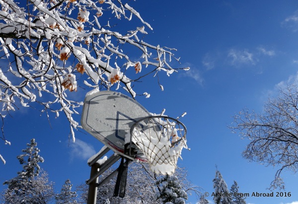 Our neighbors basketball hoop waiting for spring 